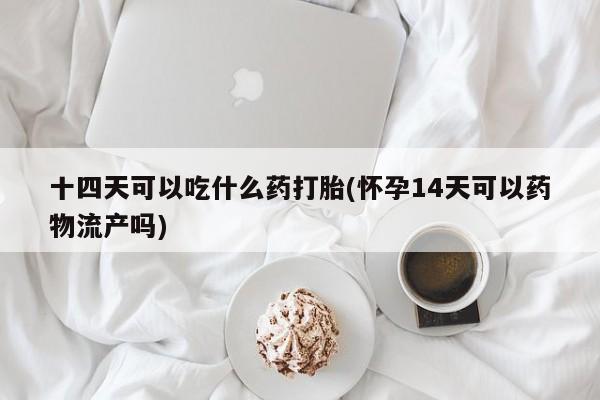 打胎药十四天可以吃什么药打胎(怀孕14天可以药物流产吗)