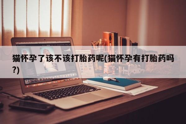 打胎药猫怀孕了该不该打胎药呢(猫怀孕有打胎药吗?)
